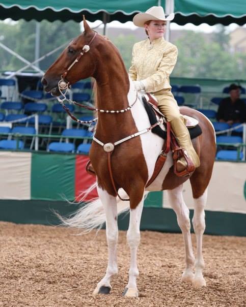 Catch-riding Cerutti at Lexington. Photo by Jeff Simmons.