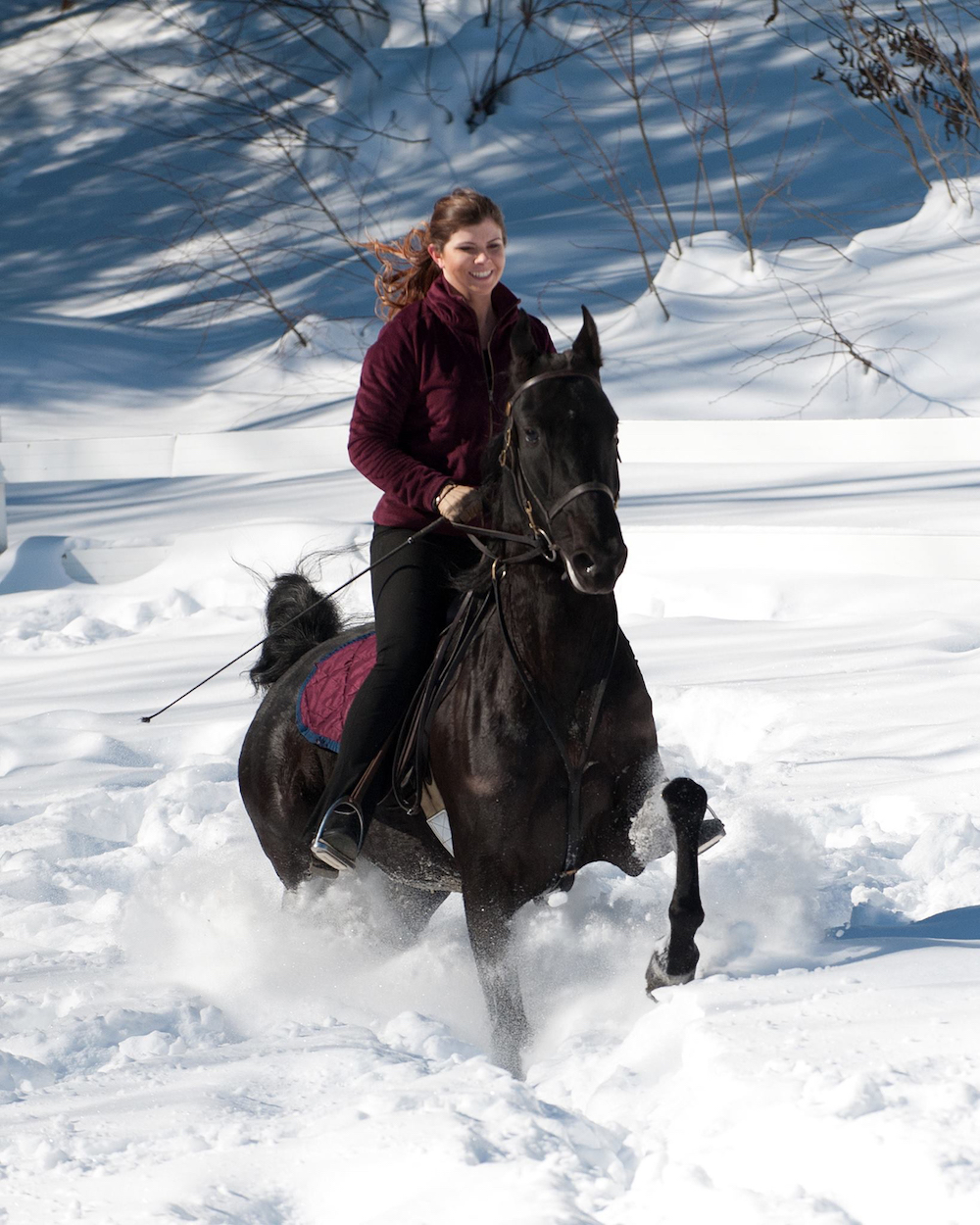 Jillian Tsiplakis and her mare Very Scary enjoy riding through the snow.