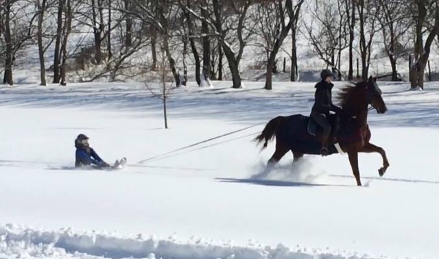 Sledding with a horse requires a rider to guide the horse.