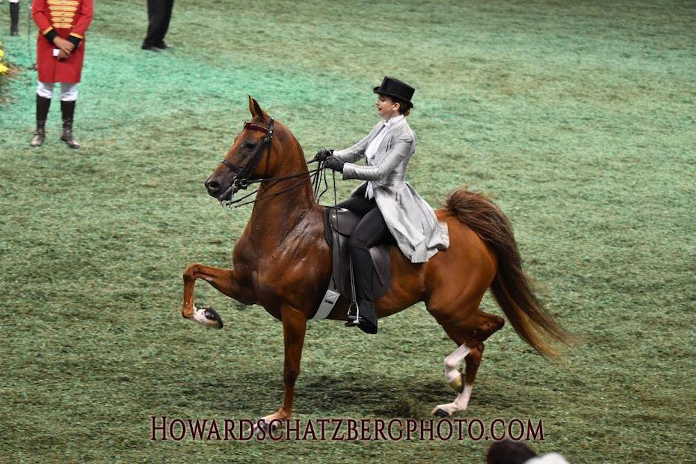 Heir Highness and Greysen Fors took eighth place, with a first place vote, in the combined championship.