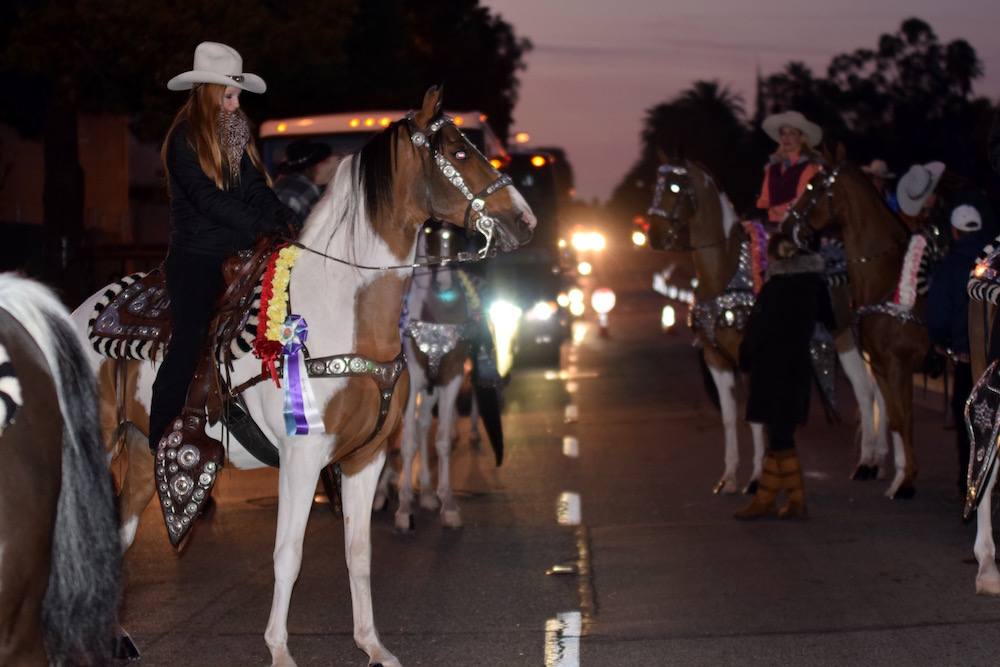 To get to the start of the parade, on Orange Grove Boulevard, the horses had to travel down a street full of vehicle traffic in the dark.