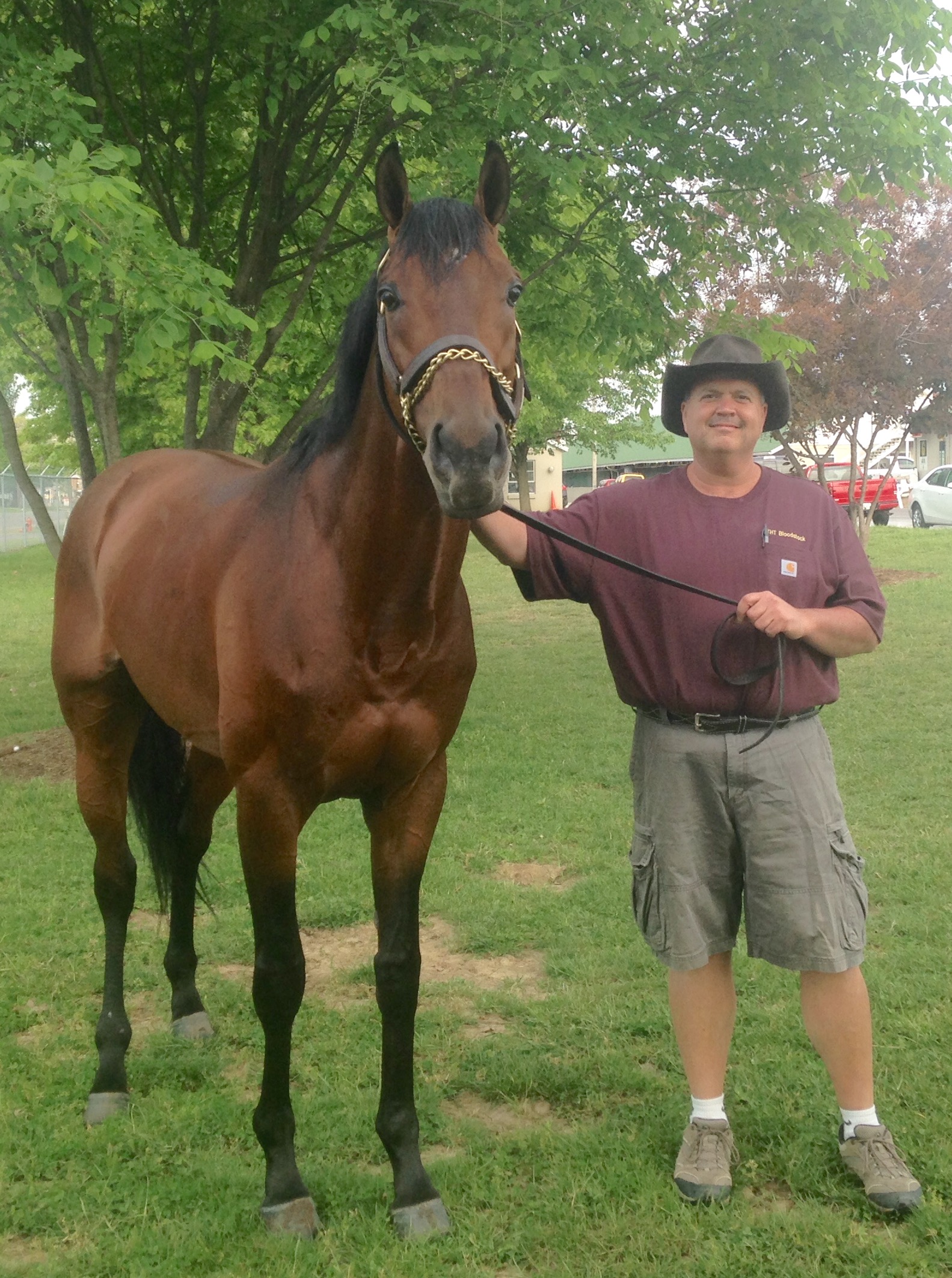 Horse psychologist Kerry Thomas evaluates horses for clients through his company THT Bloodstock. He says that herd instinct plays a large part in how willing a horse is to work with humans.