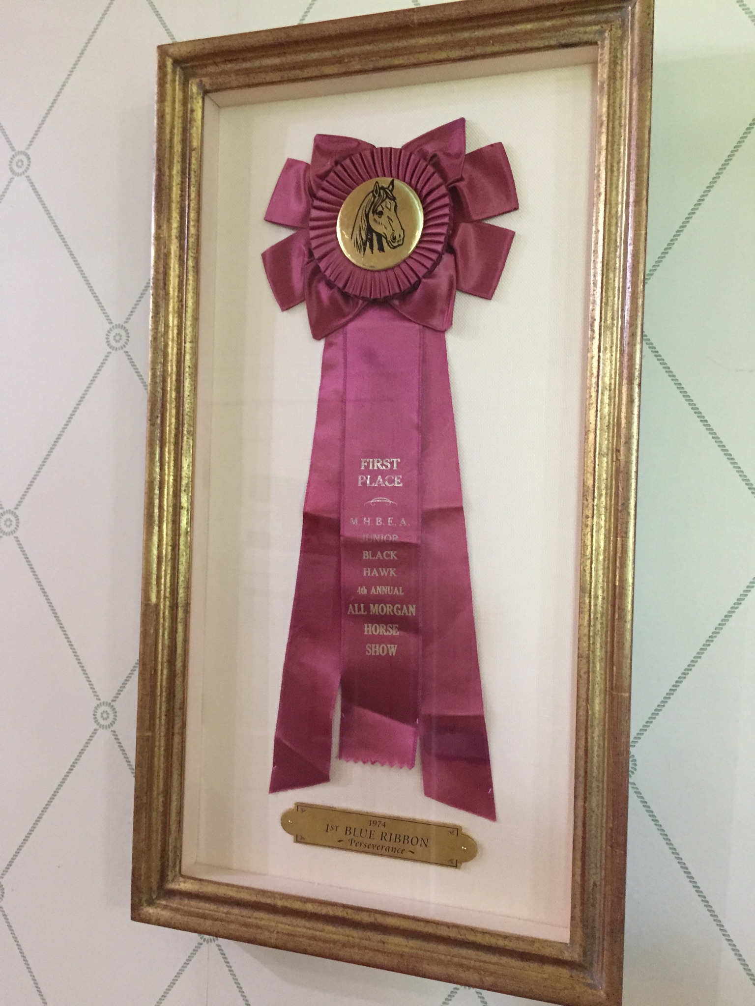 Elisabeth's first blue ribbon, awarded for perseverance, is hung in a place of honor in her kitchen.