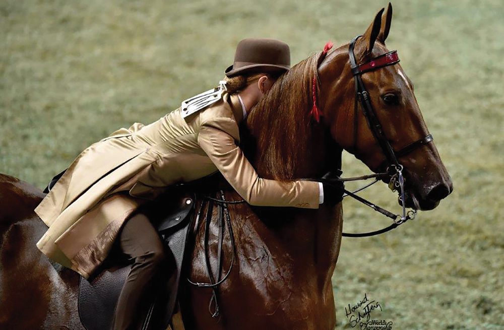 How To Deal With A Mare