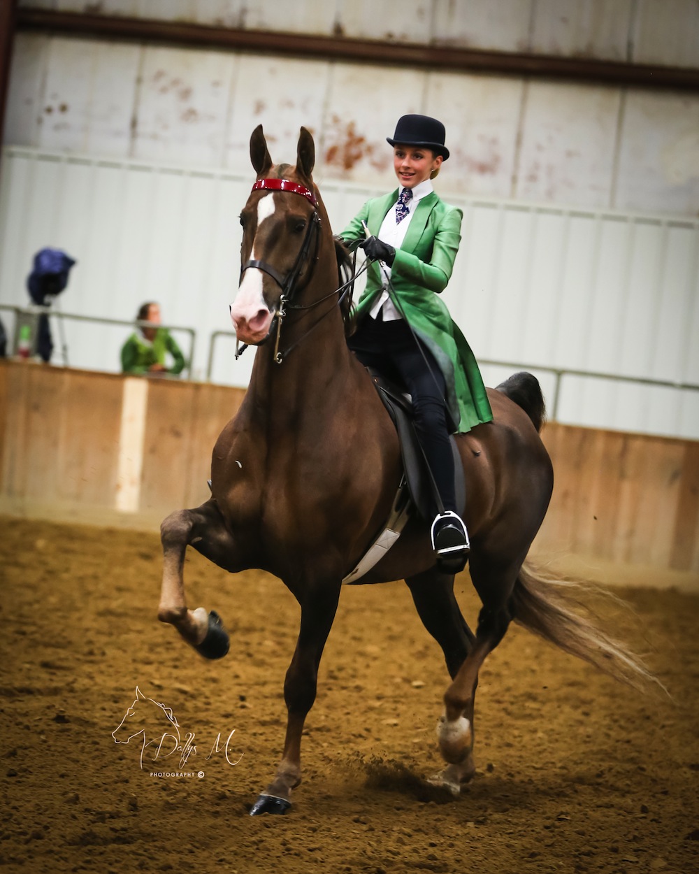 A good sales shot should show the horse doing what it does best, like this photo of Reedanns What's My Line and Thea Post.