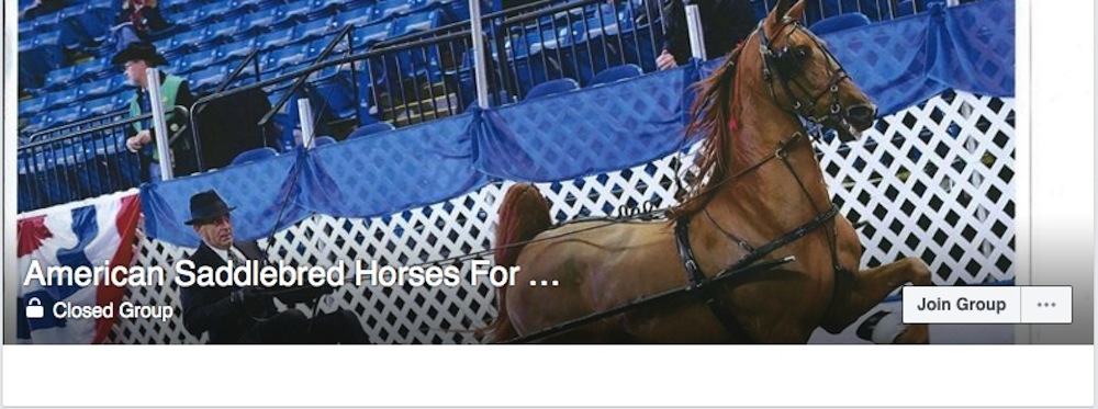 Facebook groups like this one have become popular places to advertise sale horses but since they offer unlimited space many sellers write long descriptions that no one reads.