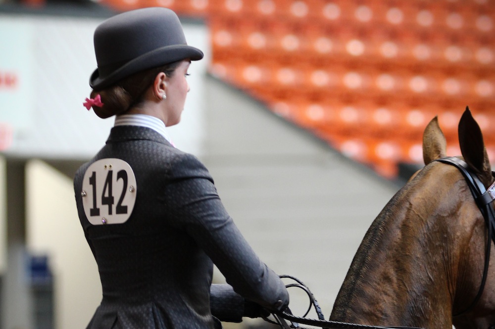 The rider's body type and riding style are two of the most important considerations when selecting an equitation horse. Photo by Dallys Malenfant.