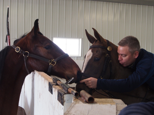 Robert and Callaway's Blaire visiting with a youngster in the roundpen.