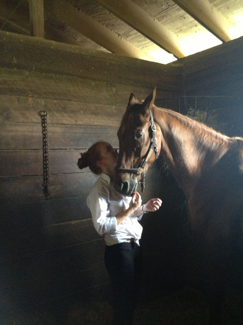 Alis first Saddlebred was a large chestnut gelding named Somersby.