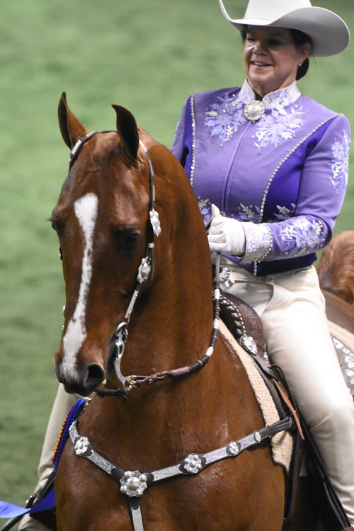 Your Lucky Stars and Gen Hess won the Ladies class and then came back to win the large Country Western Pleasure Championship. Photo by Avis.