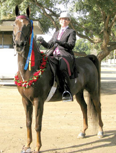 Sarah Hausheer and North Charleston were named the Five-Gaited Show Pleasure Champions and Grand Champions.