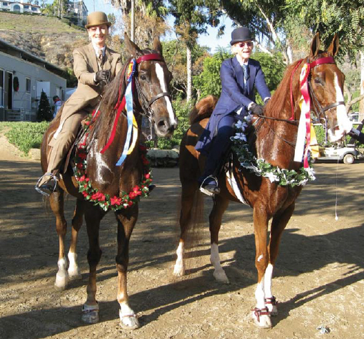 Amateur Five-Gaited Grand Champions Virtual Design and Liz Coglianese and Reserve Grand Champions Give Me The Blue and Lee Smotherman.