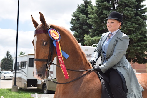 CH Callaways Winning Number took the victory pass in the Adult Country Pleasure qualifier and championship with Marjorie Townsend.