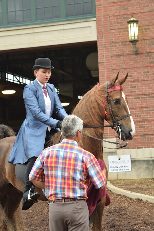 Camille Cowart gets some last minute instructions from father Peter before entering the ring aboard Undulata Pressure. This pair was the Amateur Five Gaited Champions and Grand Champions.