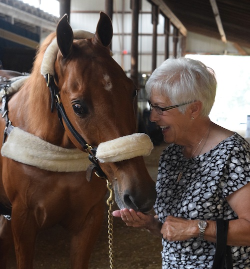 Vickie Byrd shares a mint with Amateur Masters Five Gaited Champion Iconium.