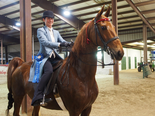 Elly Berman rode CH Tuffy's Miss Alison to the Adult Three-Gaited Show Pleasure 39 & Over blue.