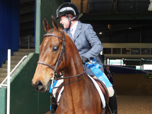 VHF Rhythm's Licorice Maker and Rebecca Stewart won the Hunter Country Pleasure class.