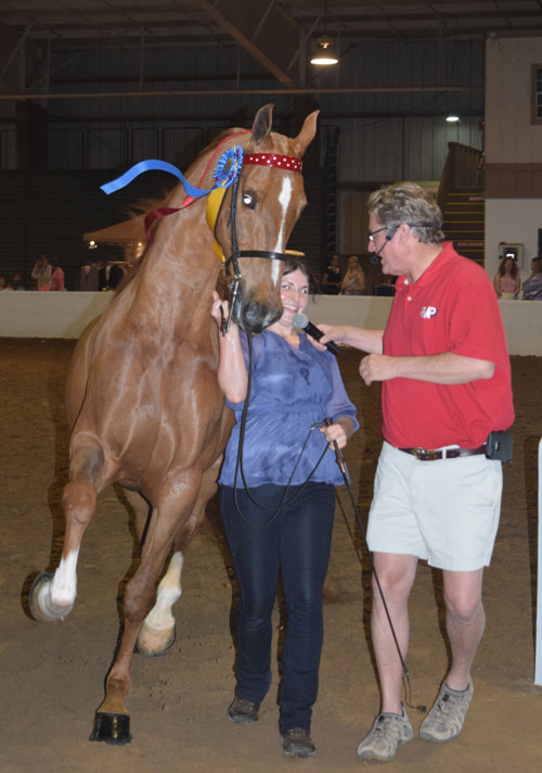 Lace's Last Tango and Caitlin Hucker won the Caretaker's Class for owner Ellen Susman. Ellen also rode Tango to win both the Amateur Three-Gaited Park qualifier and championship