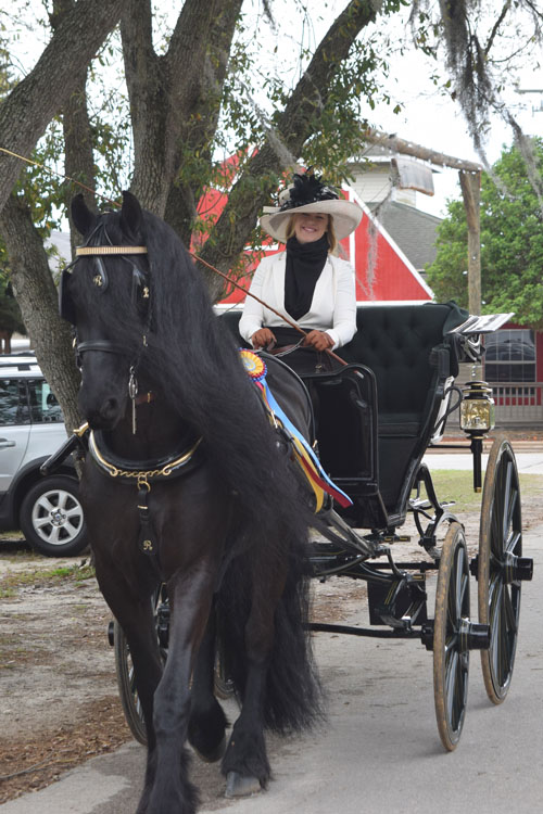 Nichole Horsley exhibited a number of Helen Rich's horses and ponies at Tampa, including Donar Fan Synaeda, who won the Friesian Pleasure Driving qualifier and championship.