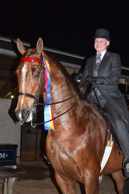 Phyllis Brookshire and I'll Bet You swept the Ladies Five-Gaited division at Tampa.