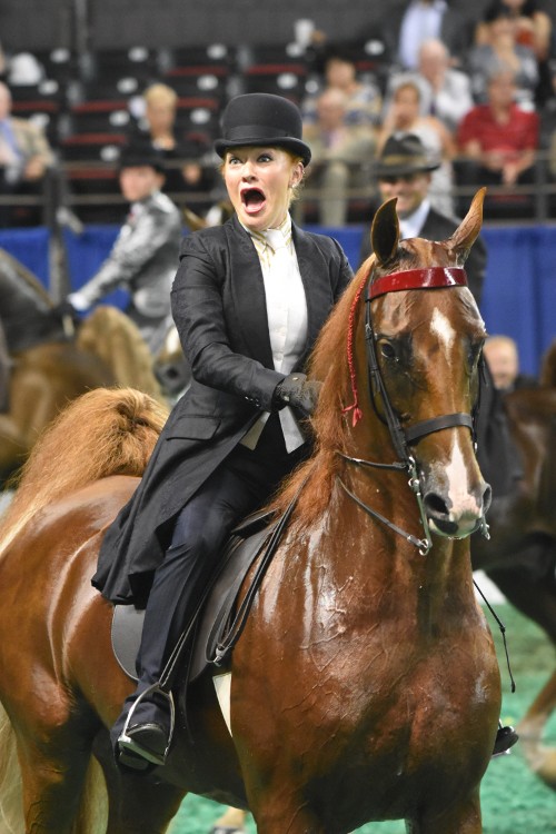 Ali was shocked when she and Memories Of Cabo were called as the Amateur Five-Gaited Championship winners.