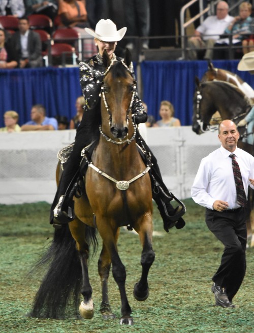 CH Blushing Bull and Lindsay Sowell returned to win the Western Pleasure qualifier and championship for the second year in a row.