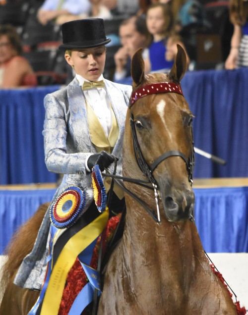 Reagan Campbell rode CH Real Action to the Junior Exhibitor Three-Gaited 13 Under Championship win.