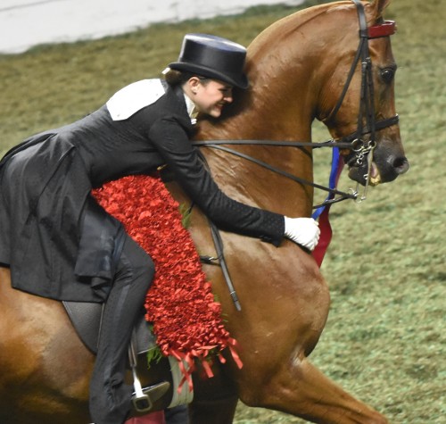 Senior Equitation Worlds Champion of Champions Aleia Brown hugs Madeiras Fame