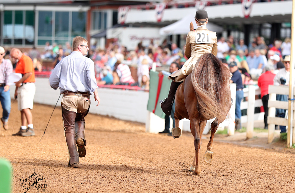 Evan Orr dressed for the mud at this year's Lexington. Here he runs alongside CH Moonlight Memories and McGee Bosworth wearing safe and weather appropriate boots.