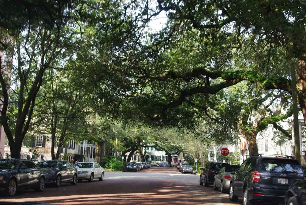 There was lots of downtime to explore the beautiful town of Savannah.