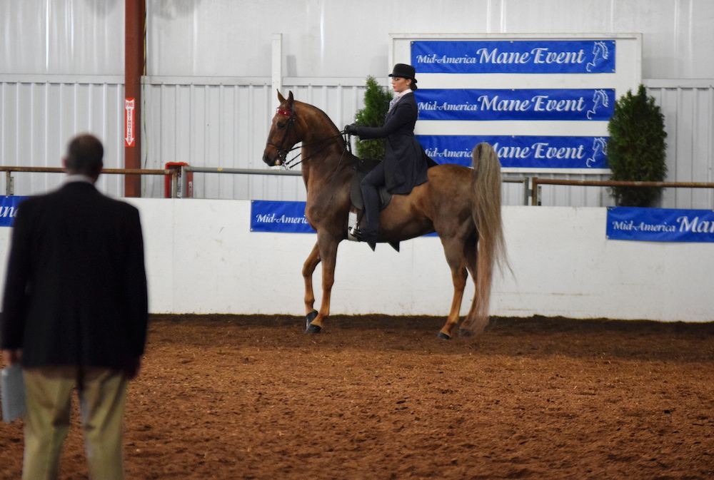 When turning off the rail to face the center of the ring, a turn on the haunches makes the most logical sense.