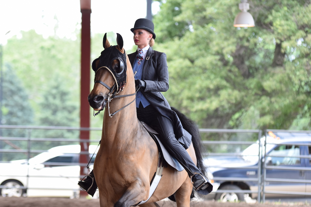 Equitation rider Ellie Grosspietsch warms up at the 2016 Midwest Charity.