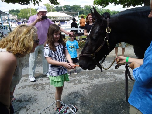 Saddlebred Midnight Eclipse meeting and greeting fair-goers at Devon in 2012. Photo by Allie Layos.