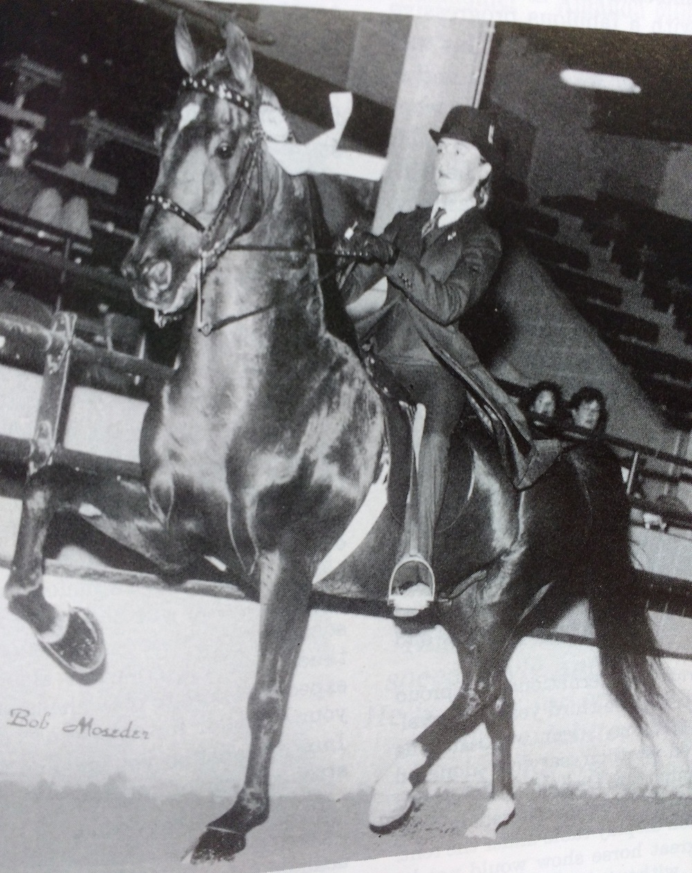 Katy and Beauty in the show ring.