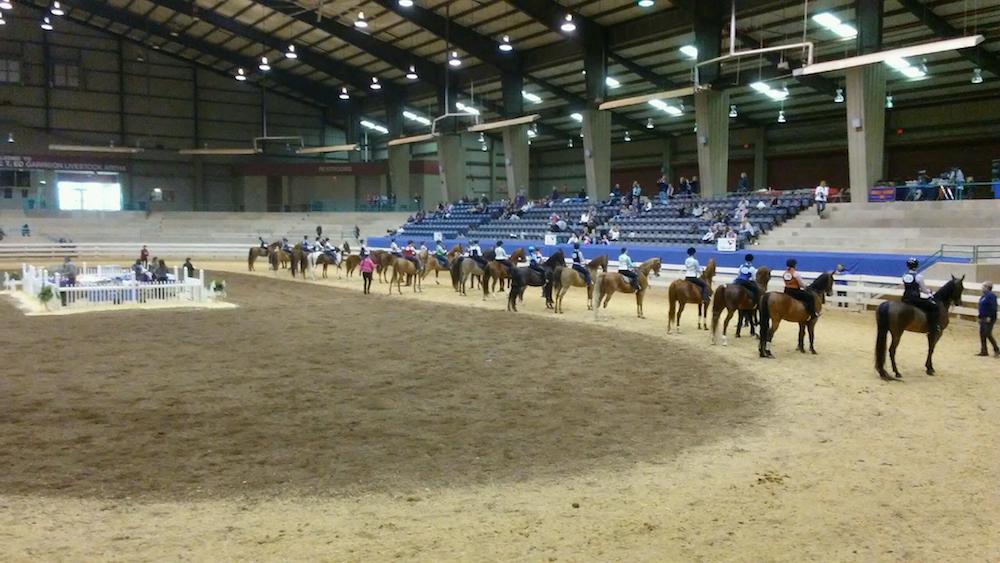 The success of large academy classes is often thanks to great horses and great trainers and instructors.