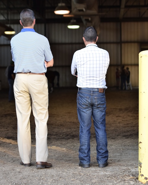 The typical trainer stance of crossed arms is often accompanied by a slightly tilted head.