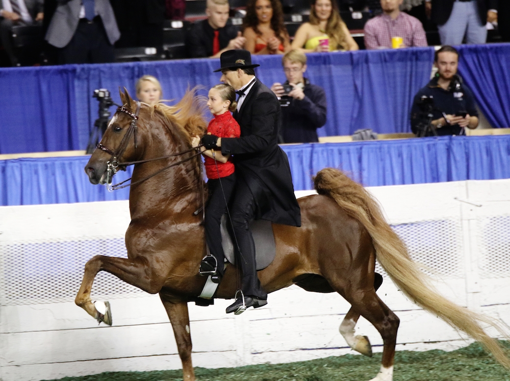 Marc gave young fan Ella Herrin the ride of a lifetime. Photo by Julia Shelburne-Hitti.