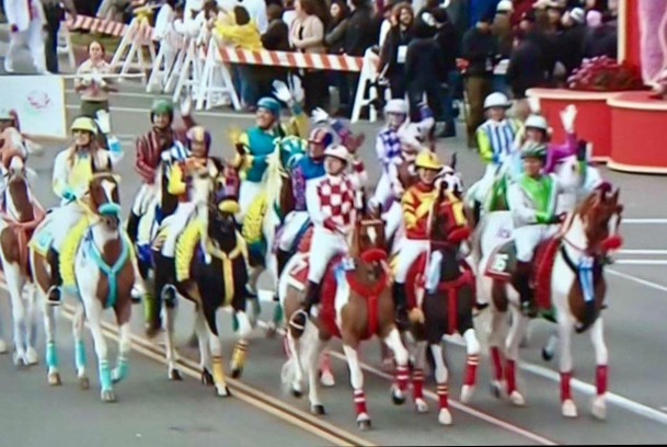 Our group included thirteen Saddlebreds.