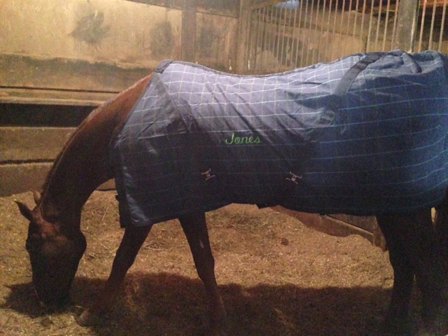 Slider's new blanket. He gets to be a Jones nine months before I do!