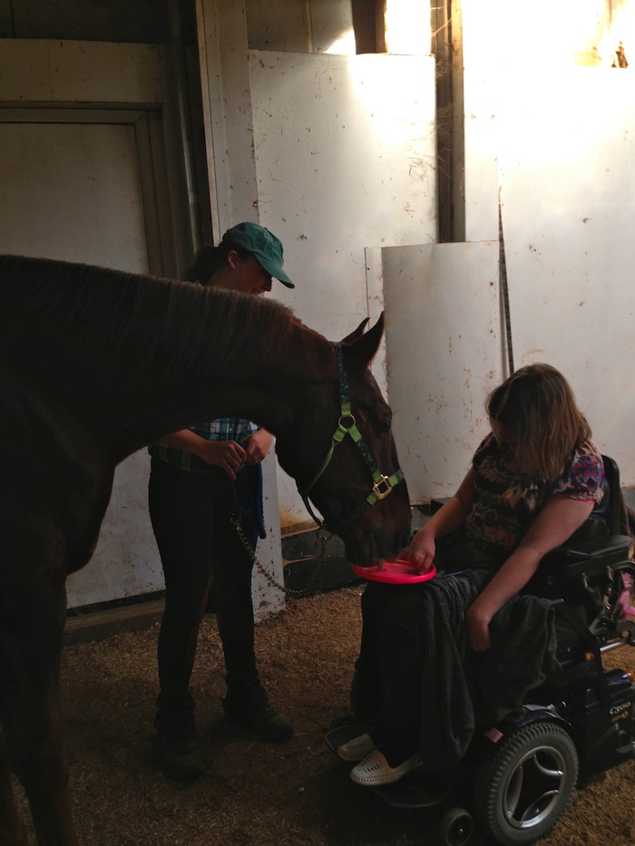 I was a little worried about how Slider would react to Brittany's wheelchair, but he was a perfect gentleman.