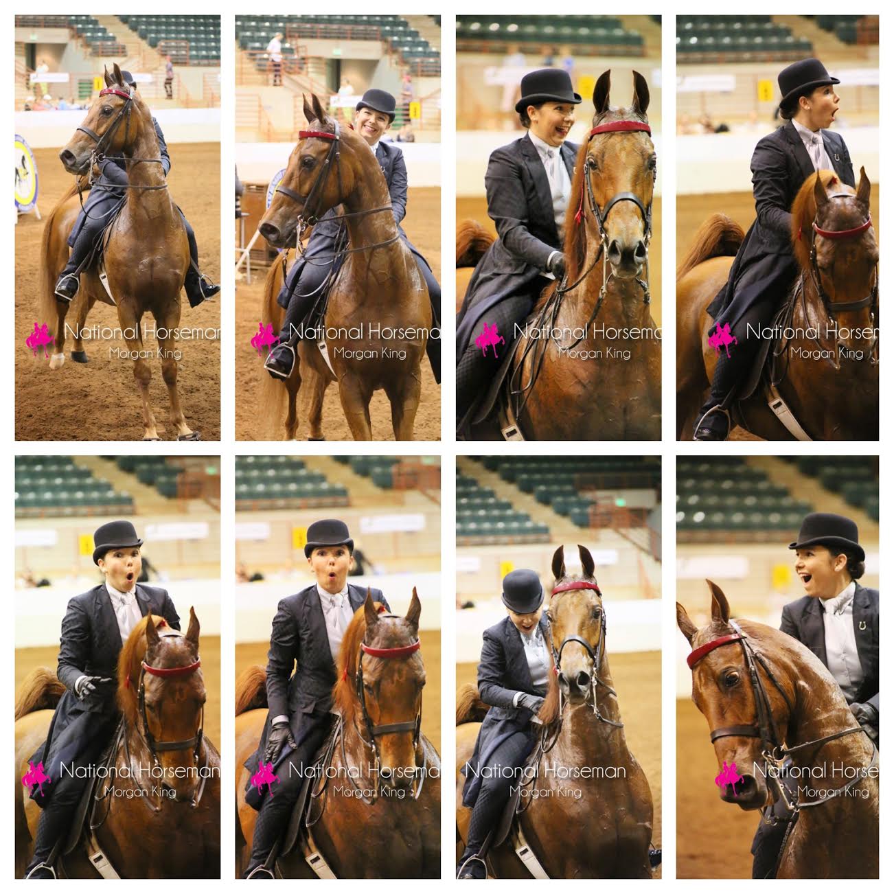 I was stunned when Wrapped In Chocolate and I won the Amateur Five-Gaited class at Pro-Am. (Yep, my horse is definitely the photogenic one!)