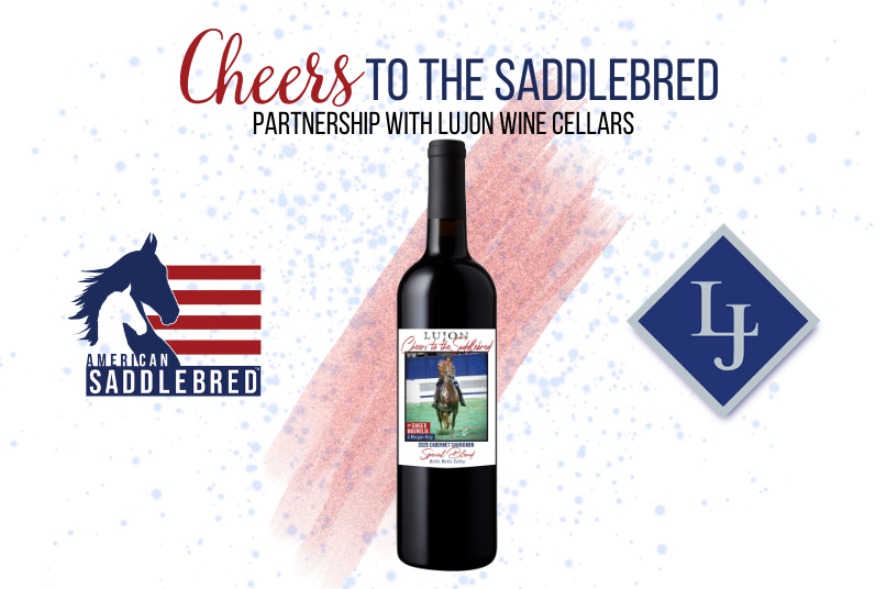 cheers to the saddlebred