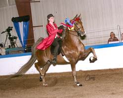 Gayle Lampe aboard CH Callaway's Born To Win.